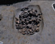 FileNo.147-053.jpg