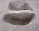 FileNo.147-055.jpg