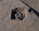FileNo.147-073.jpg