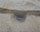 FileNo.147-090.jpg