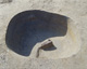 FileNo.147-093.jpg