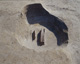 FileNo.147-096.jpg