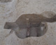 FileNo.147-097.jpg