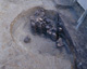 FileNo.147-101.jpg