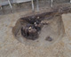 FileNo.147-102.jpg