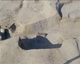 FileNo.147-105.jpg
