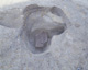 FileNo.147-109.jpg