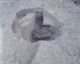 FileNo.147-110.jpg