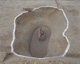 FileNo.147-115.jpg