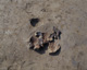 FileNo.147-119.jpg
