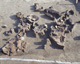 FileNo.147-138.jpg