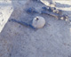 FileNo.147-140.jpg