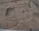 FileNo.147-147.jpg