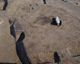FileNo.147-148.jpg