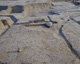 FileNo.147-151.jpg