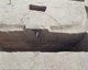 FileNo.147-160.jpg