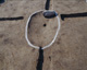 FileNo.147-164.jpg