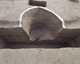 FileNo.147-167.jpg
