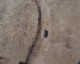FileNo.147-171.jpg