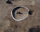 FileNo.147-177.jpg