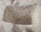 FileNo.147-185.jpg