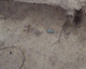 FileNo.147-195.jpg