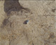 FileNo.147-211.jpg