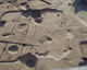 FileNo.147-213.jpg