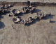 FileNo.147-218.jpg