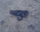 FileNo.147-220.jpg