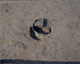 FileNo.147-225.jpg