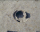FileNo.147-227.jpg