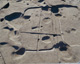 FileNo.147-230.jpg
