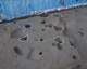 FileNo.147-238.jpg