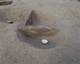 FileNo.147-252.jpg