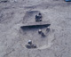 FileNo.147-256.jpg