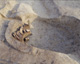 FileNo.147-261.jpg