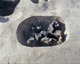 FileNo.147-270.jpg