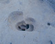 FileNo.147-272.jpg