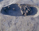 FileNo.147-280.jpg