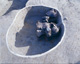 FileNo.147-283.jpg