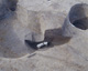 FileNo.147-284.jpg