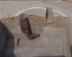 FileNo.147-291.jpg