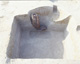 FileNo.147-294.jpg