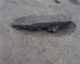 FileNo.147-298.jpg