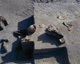 FileNo.147-307.jpg
