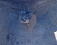 FileNo.147-316.jpg
