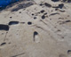 FileNo.147-329.jpg