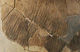 FileNo.147-351.jpg