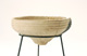 FileNo.147-352.jpg